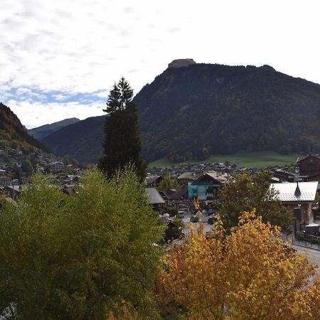 Appartement 2 Pieces, Proche Ecole De Ski, Animaux Admis, Balcon - Fr-1-524-79 Morzine Luaran gambar